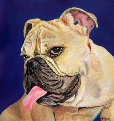 Bulldog - tempera su cartoncino
30x32 cm - Milano