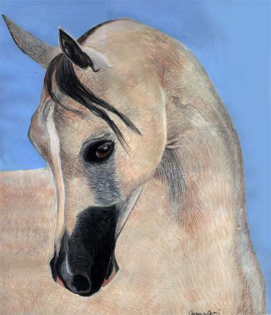 Arabo bianco - tempera su cartoncino
40x45 cm