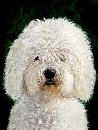 Lola - tempera su cartoncino
30x40 cm
collezione privata - milano