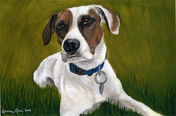 Jack - tempera su cartoncino
40x50 cm
collezione privata  - Milano