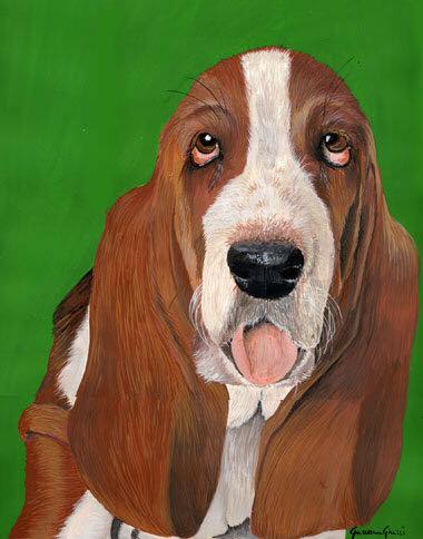 Basset hound - tempera su cartoncino
35x45 cm - Milano