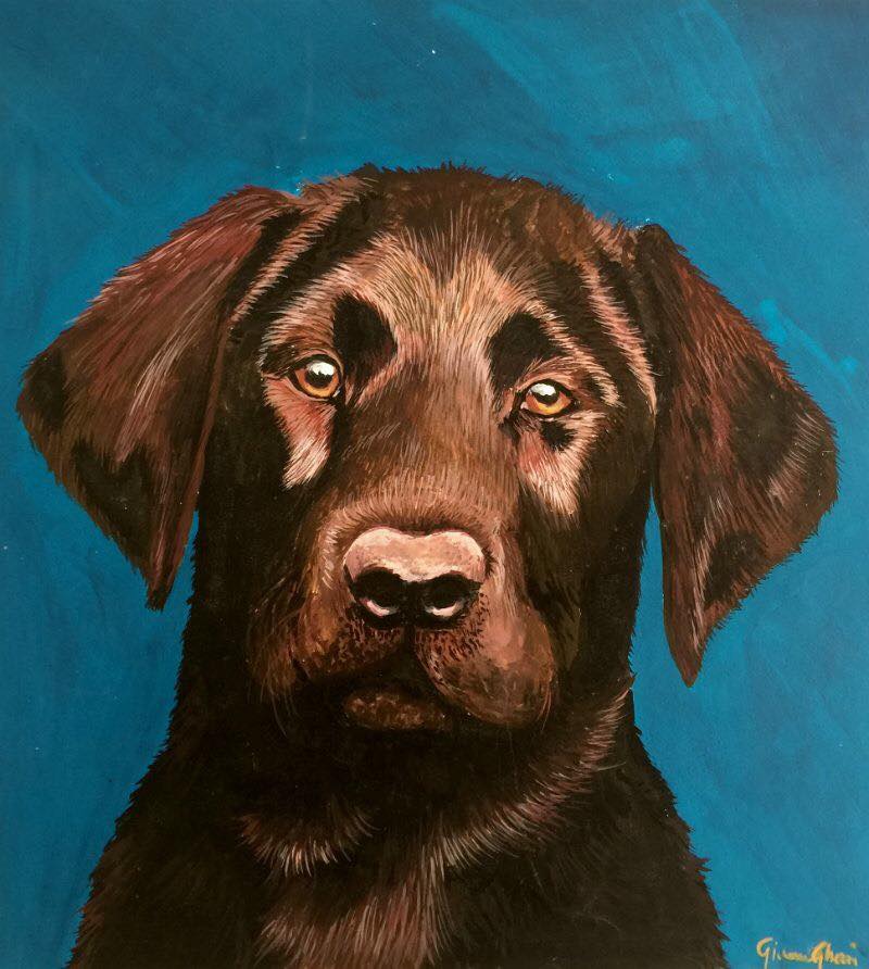 Labrador chocolate - tempera su cartoncino
30x40 cm - Milano