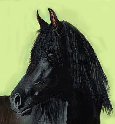 Arabo nero - Tempera su cartoncino
40x40 cm