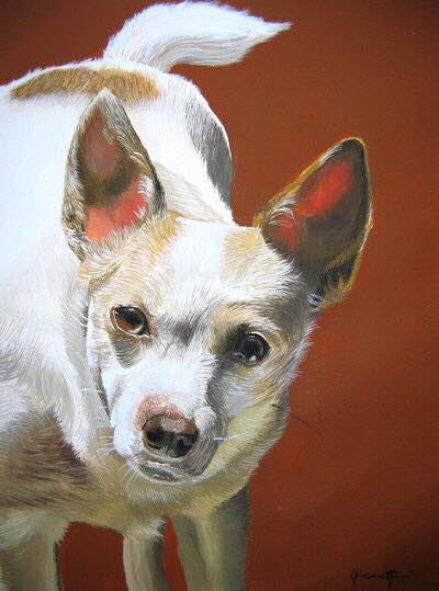 Laika - Tempera su cartoncino
30x40 cm