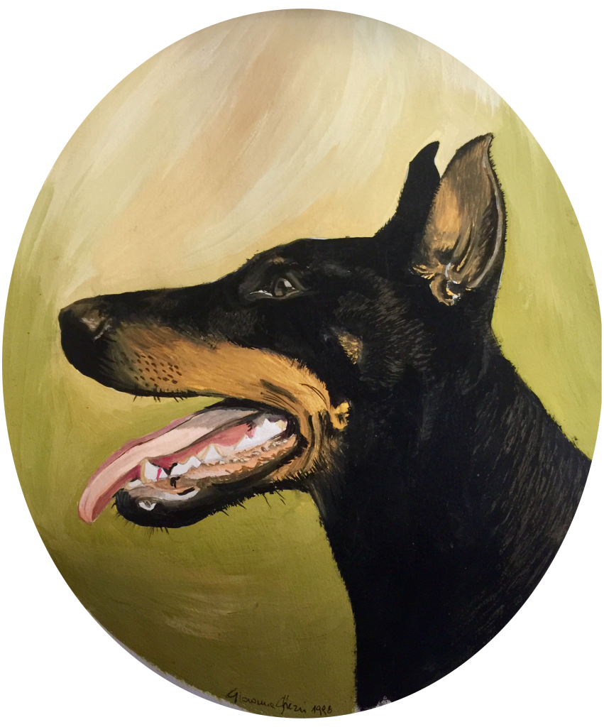 Dobermann - Tempera su cartoncino
ovale 20x30 cm
Collezione privata - Roma