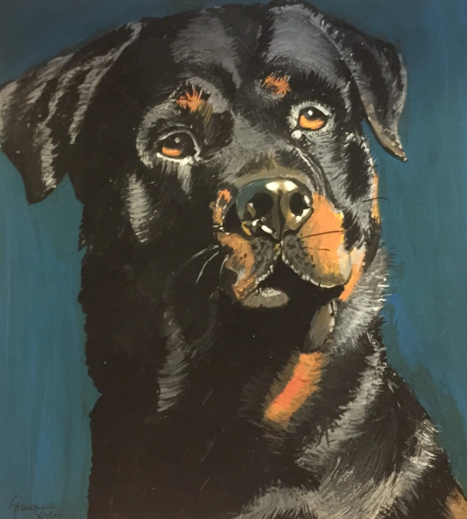 Rottweiler - Tempera su cartoncino
25x30 cm