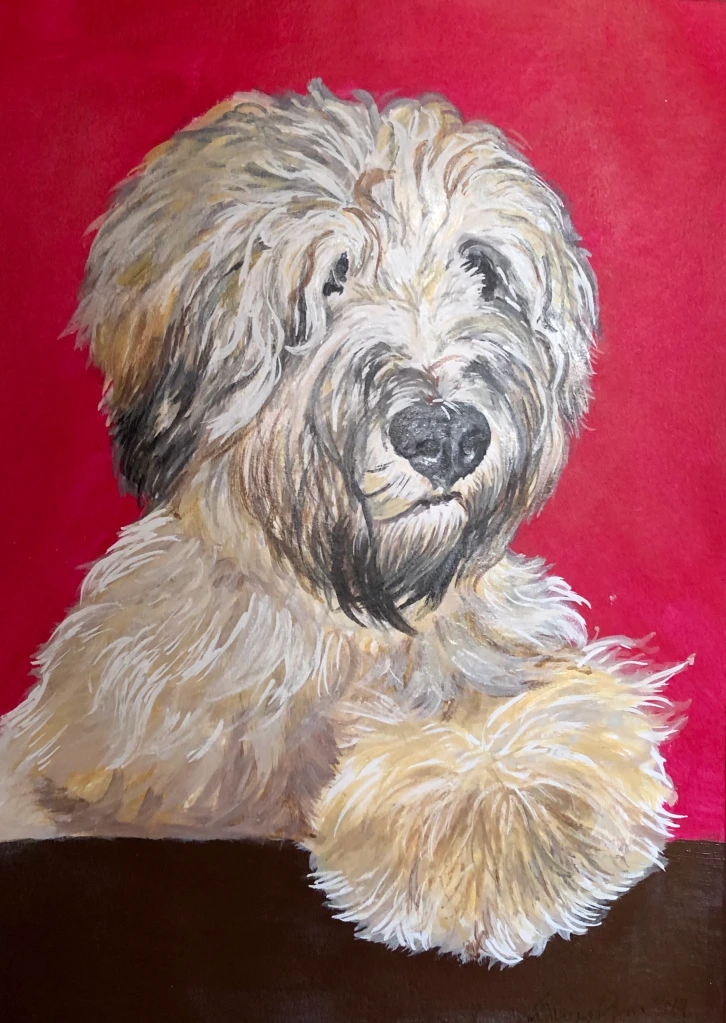 Pastore Bergamasco - 20x30 cm Acrilico su tela
(collezione privata) Milano