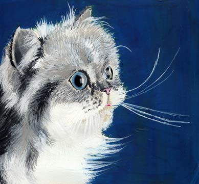 Persiano blu - Tempera su cartoncino
20x25 cm - Milano