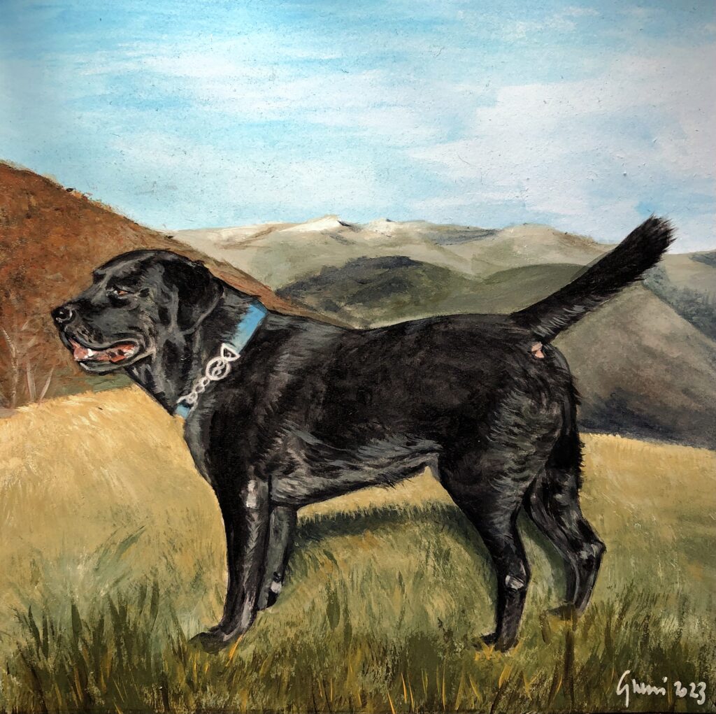 Miro, labrador, ritratto, dipinto a mano, acrilici